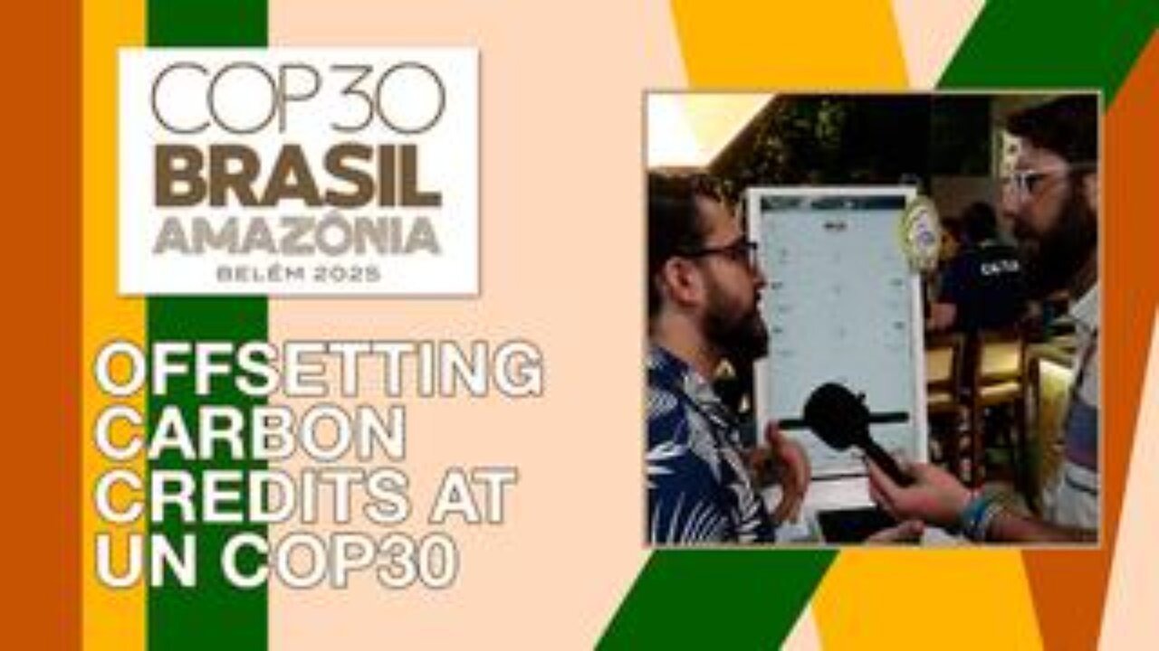 We Tried Offsetting Our Carbon Footprint at the UNs Climate Summit