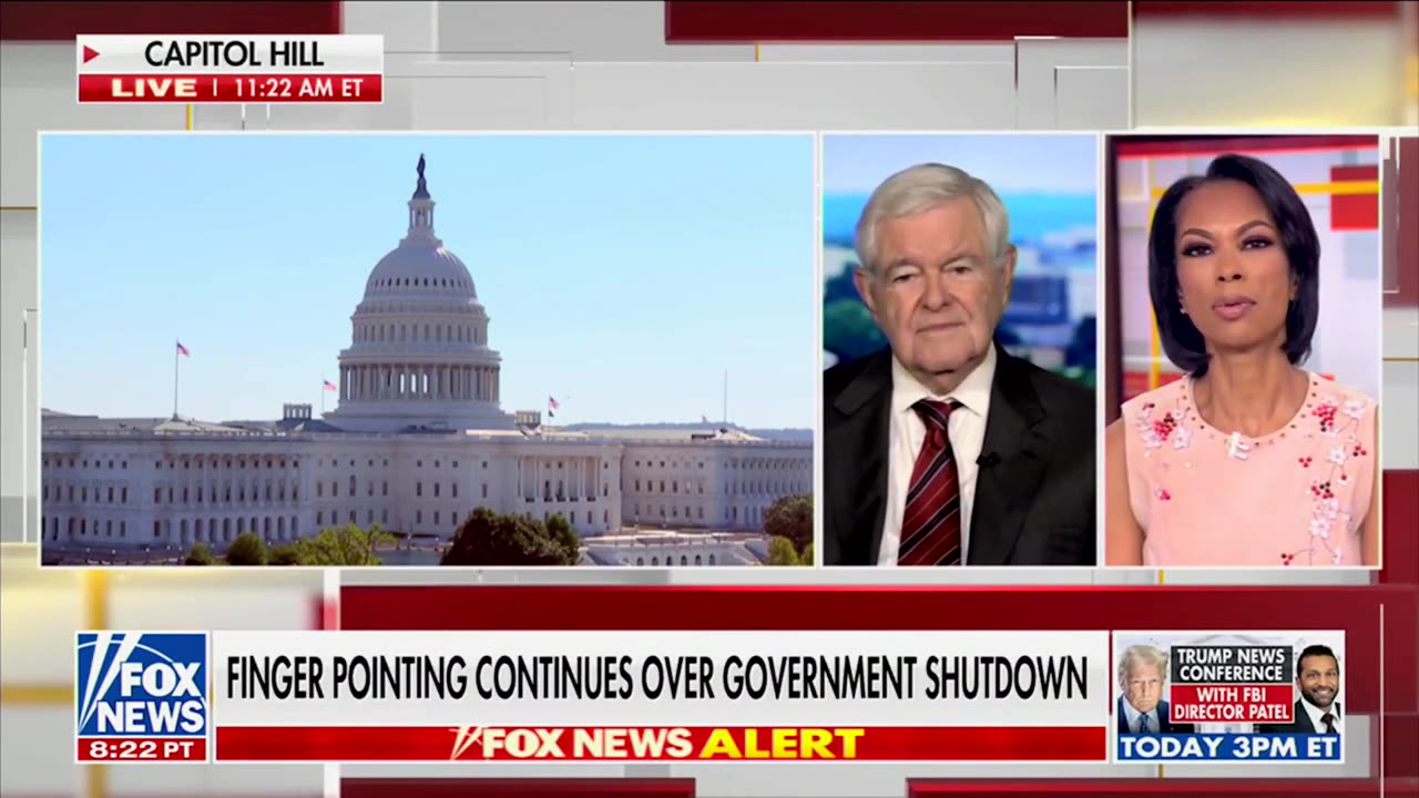 Newt Gingrich Says Double Negative Strategy Of Schumer, Jeffries Will Fail