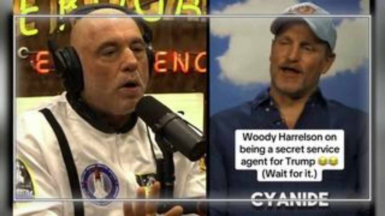 Joe Rogan Warns Of Imminent Civil War! + Woody Harrelson Calls For Trumps Assassination!!