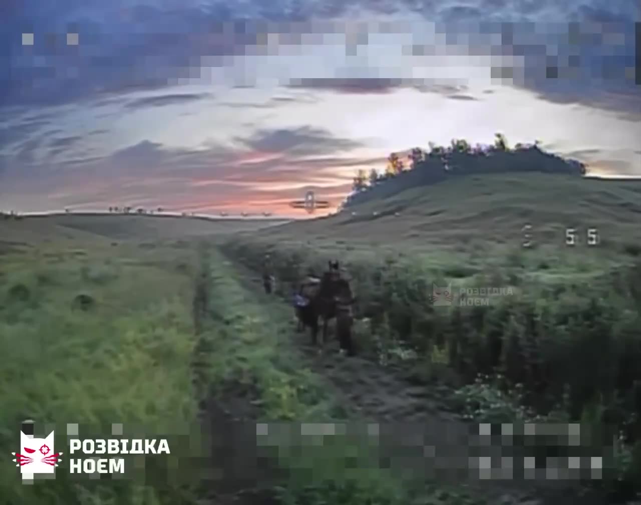 Russian cavalryman hides behind his horse, hoping Ukrainian FPV drone spares himβ¦