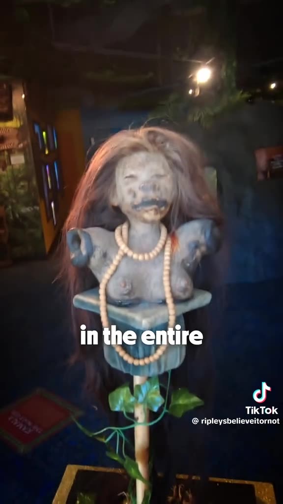 THIS IS A REAL SHRUNKEN HUMAN BODY