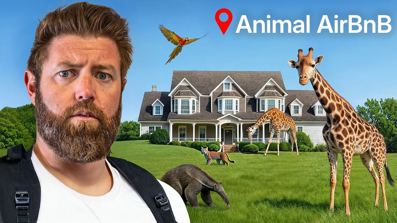 I Stayed at Americas Best Animal Airbnb