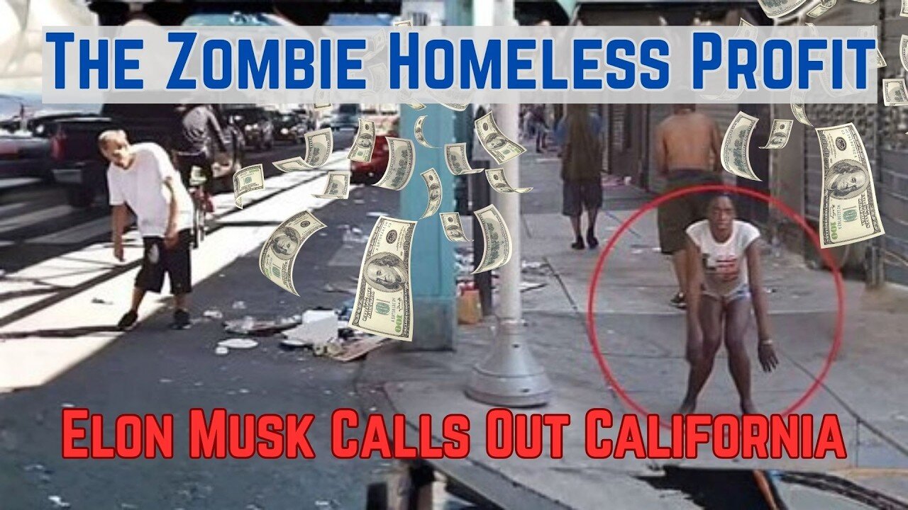 Elon Musk Exposes the Homeless Industrial Complex