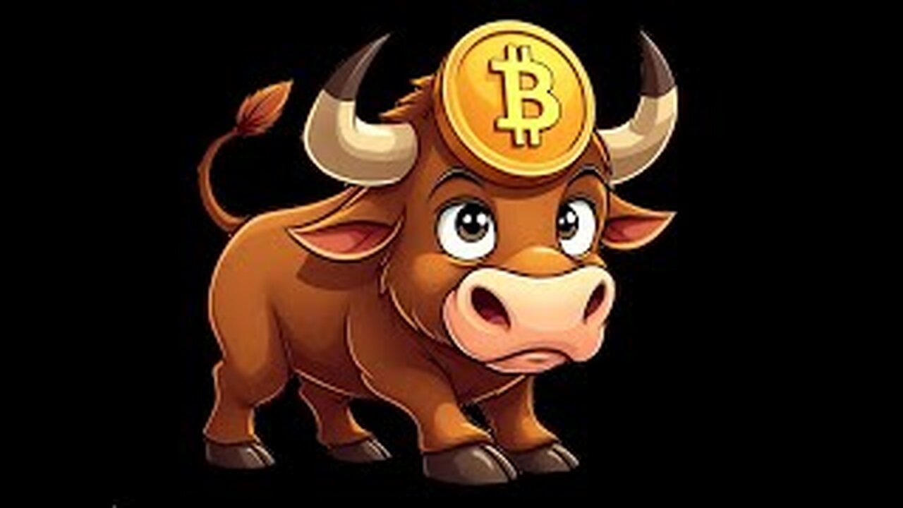 MICHAEL SAYLOR: BITCOIN WINTER IS NOT COMING BACK