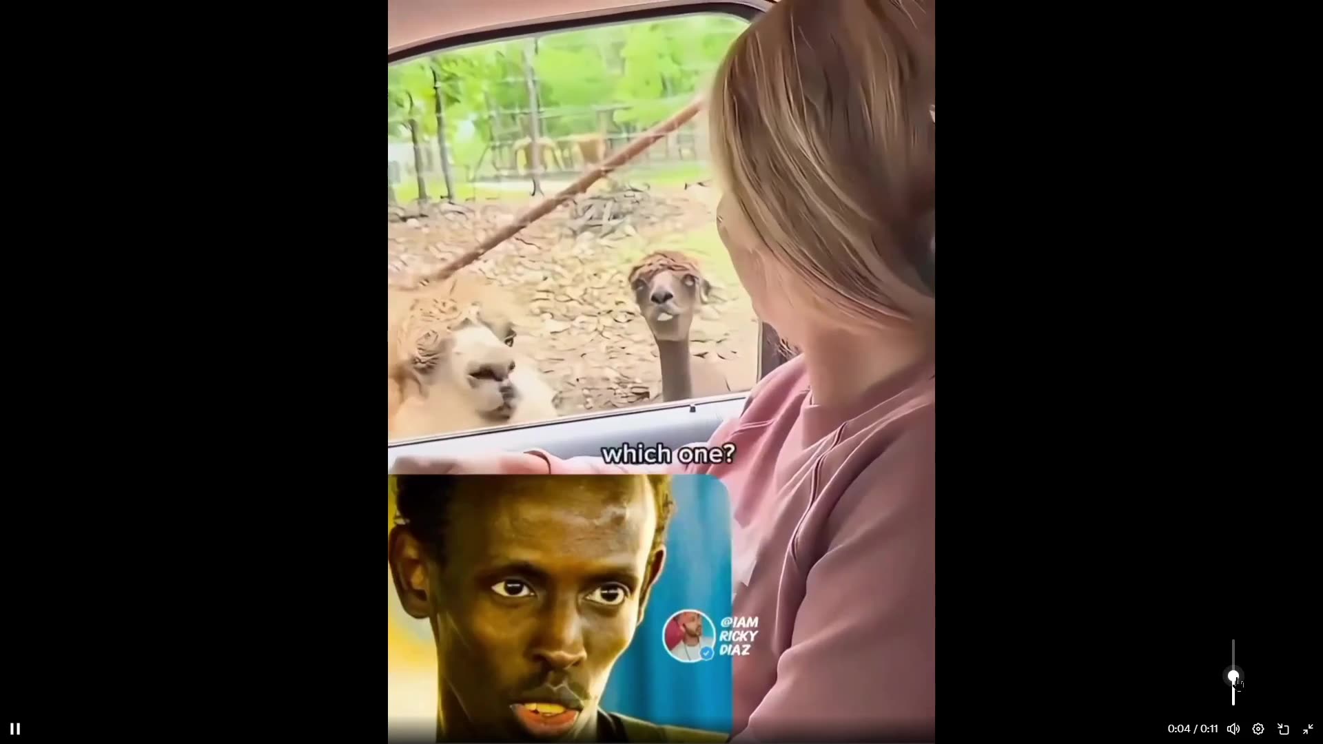 LMAO - The one with the Somali Pirate face, feed that boy lol