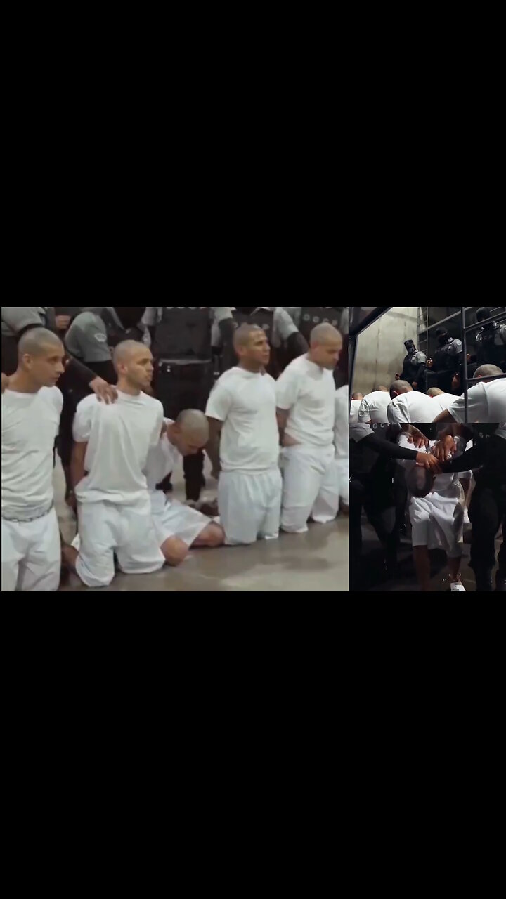Bukele El Salvador and Trump USA vs Garbage Hispanic Latino Criminals and Murderers