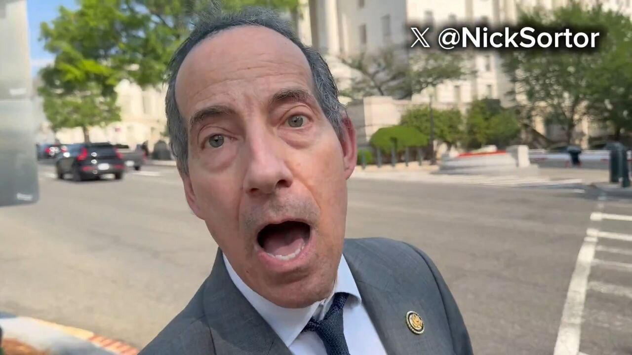 Rep. Jamie Raskin Calls Nick Sortor A Fascist And QAnon