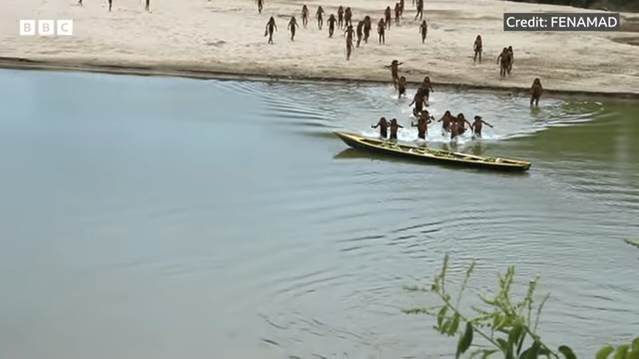 Brothers in the forest - the fight to protect an isolated Amazon tribe