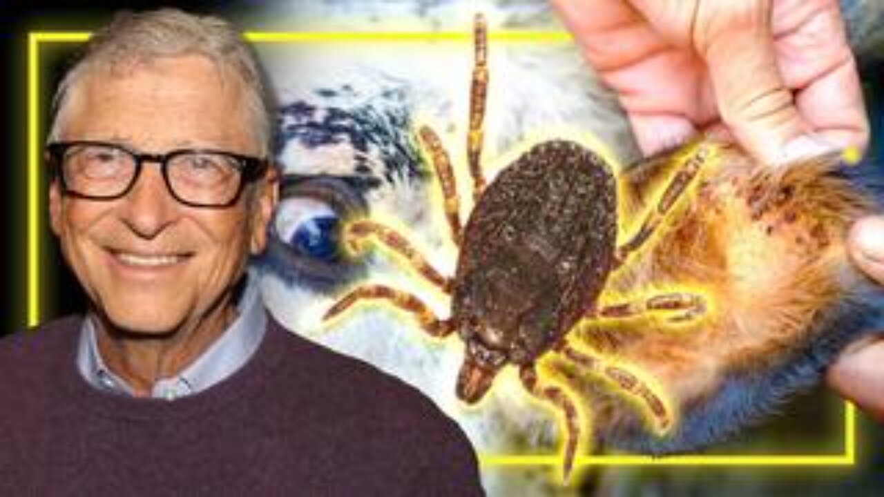Bill Gates Releasing Ticks Engineered To Give Humans A Violent Allergy To Eating Beef!!