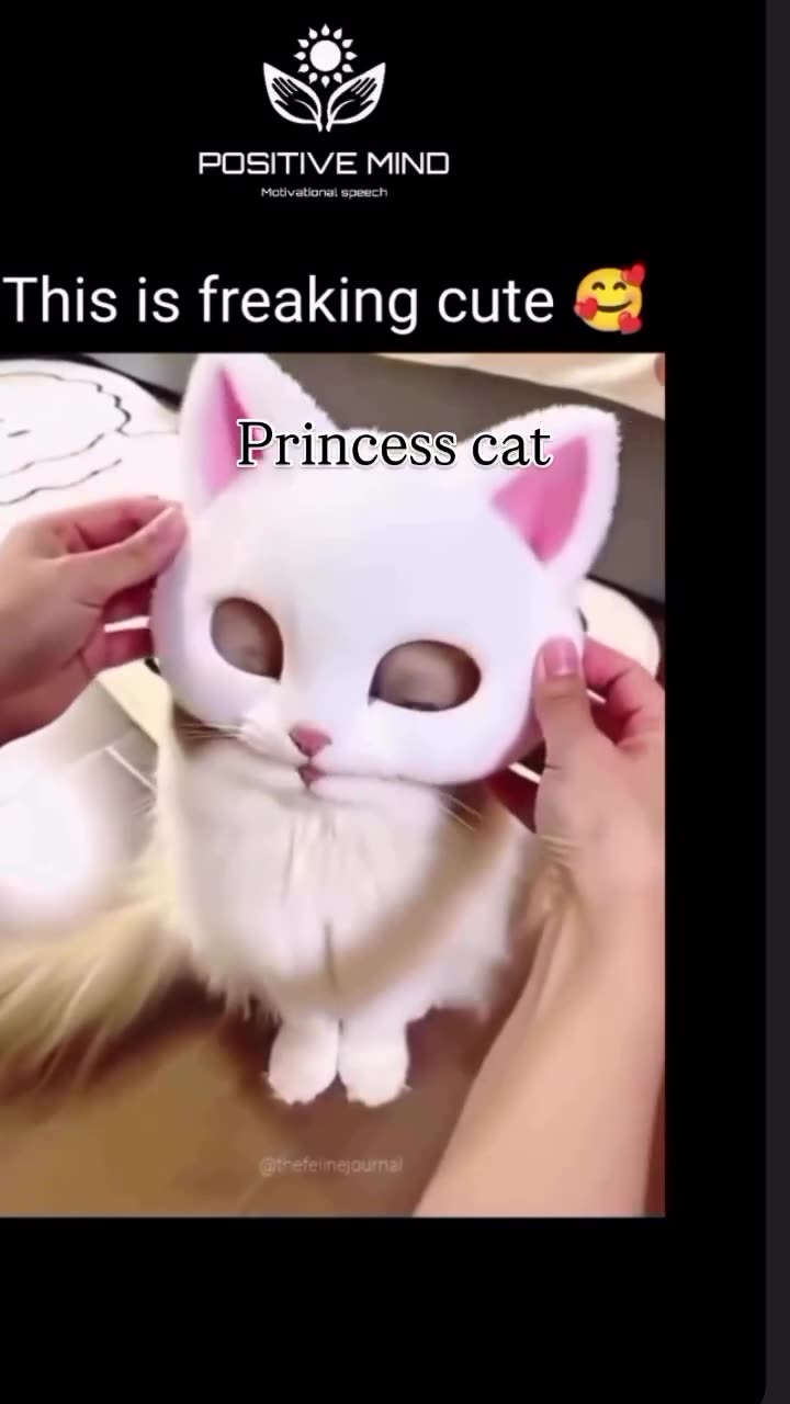 So CUUUUTE