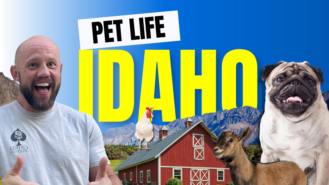 Moving to North Idaho with Pets? Watch This First!