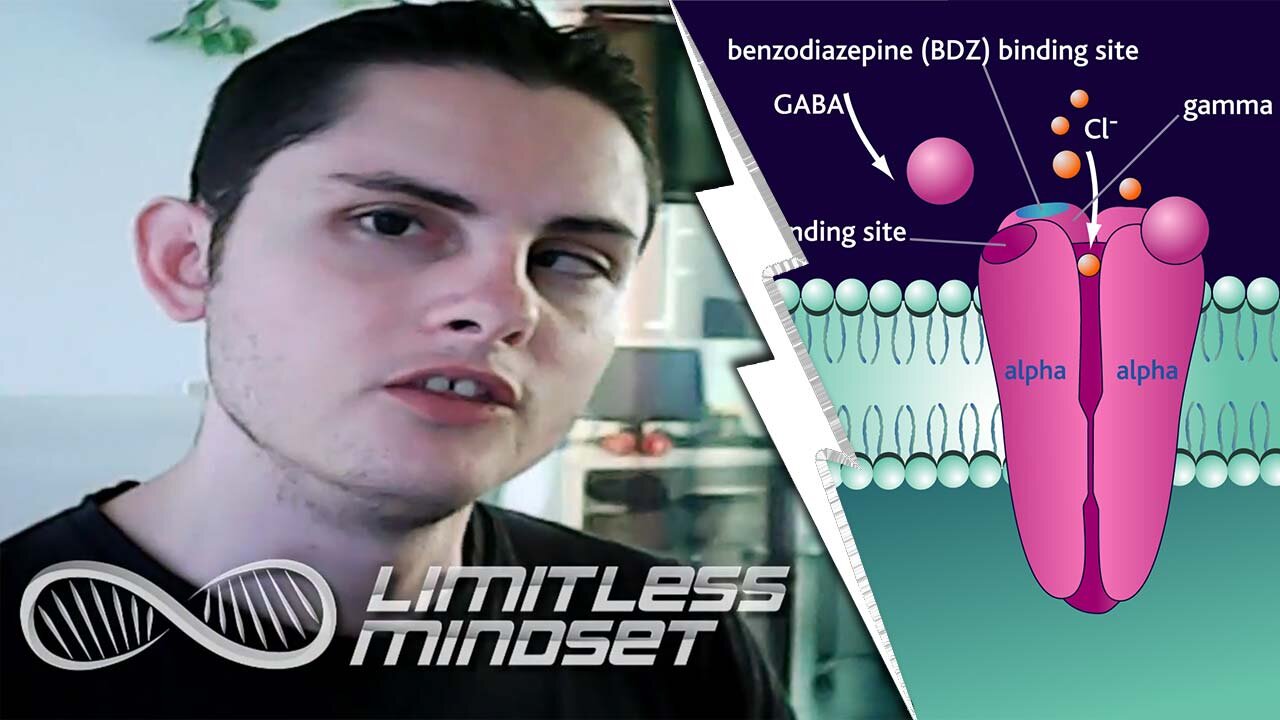 GABA as a Nootropic 👿 Biohacking the Metaphorical Little Devil on Your Shoulder