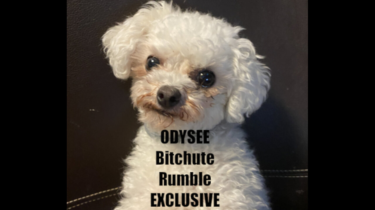 Rumble/Odysee/Bitchute Exclusive Hot News Blast! Oct. 30th 2025