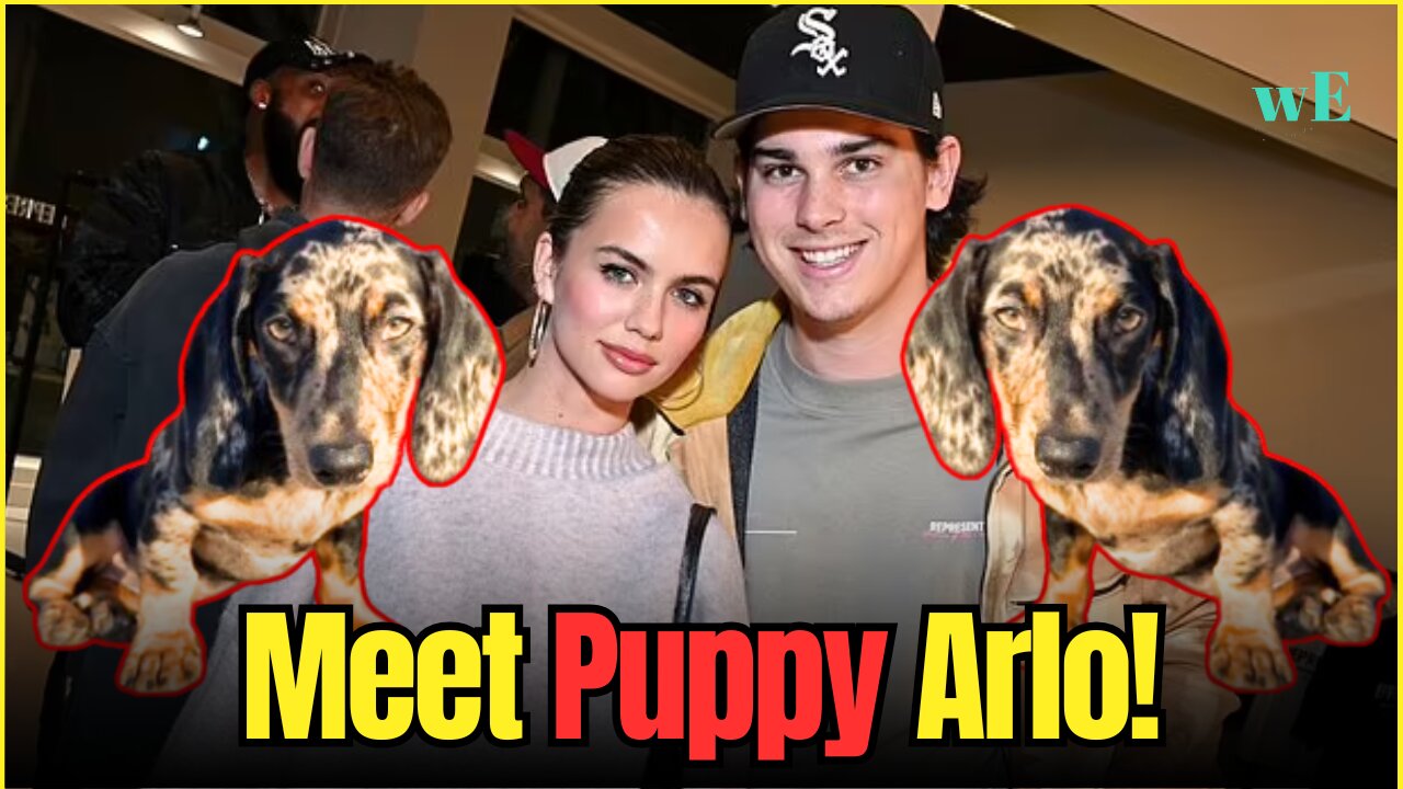 Paris Brosnan and Girlfriend Welcome Adorable Dachshund Puppy Arlo