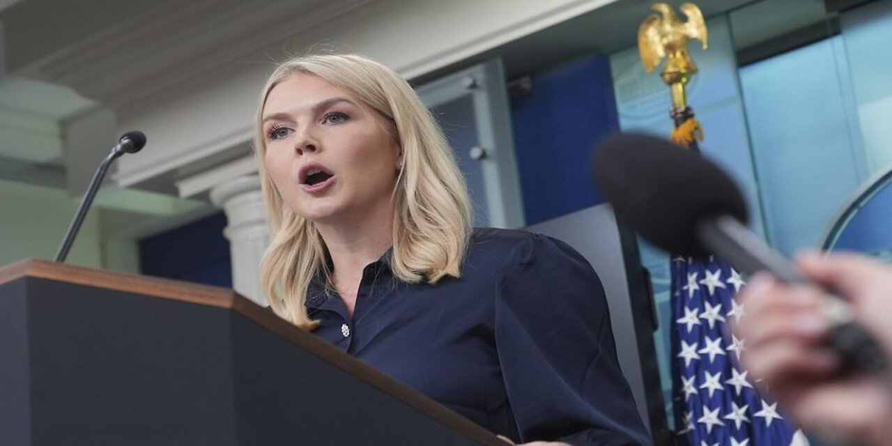 Karoline Leavitt Torches Mealymouthed NYT Journo Who Got It Spectacularly Wrong on D.C. Cleanup