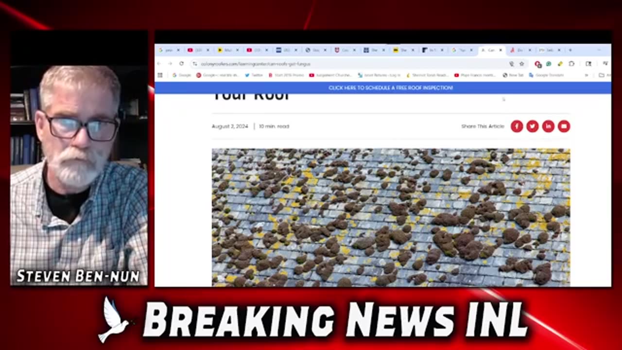 Fungal Pandemic Alert