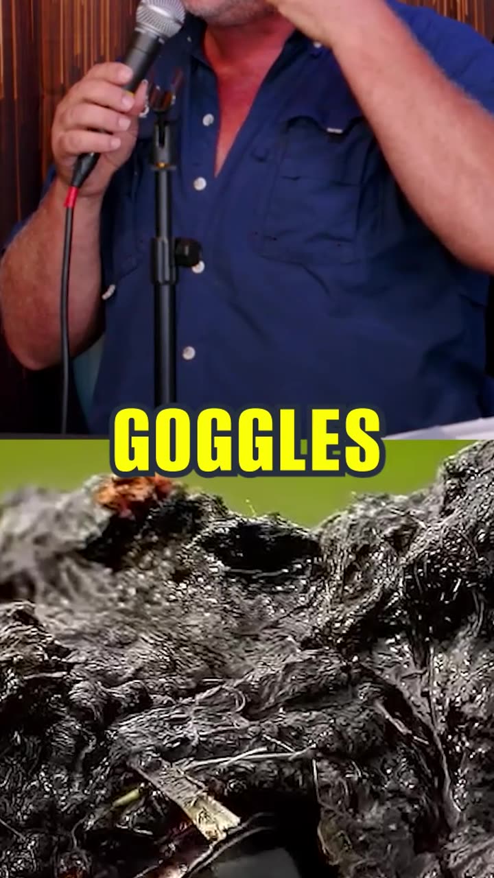Faith, snakes and an alligator?! thumbnail