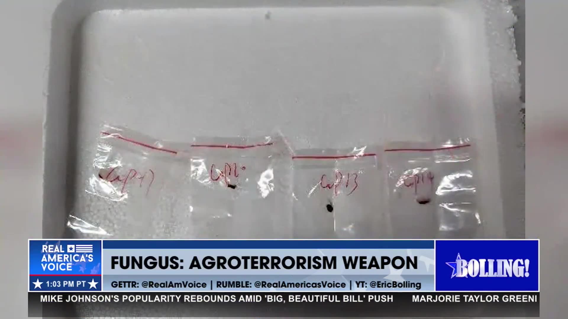CHINESE NATIONAL COUPLE CAUGHT TRYING TO SMUGGLE IN AGROWEAPON