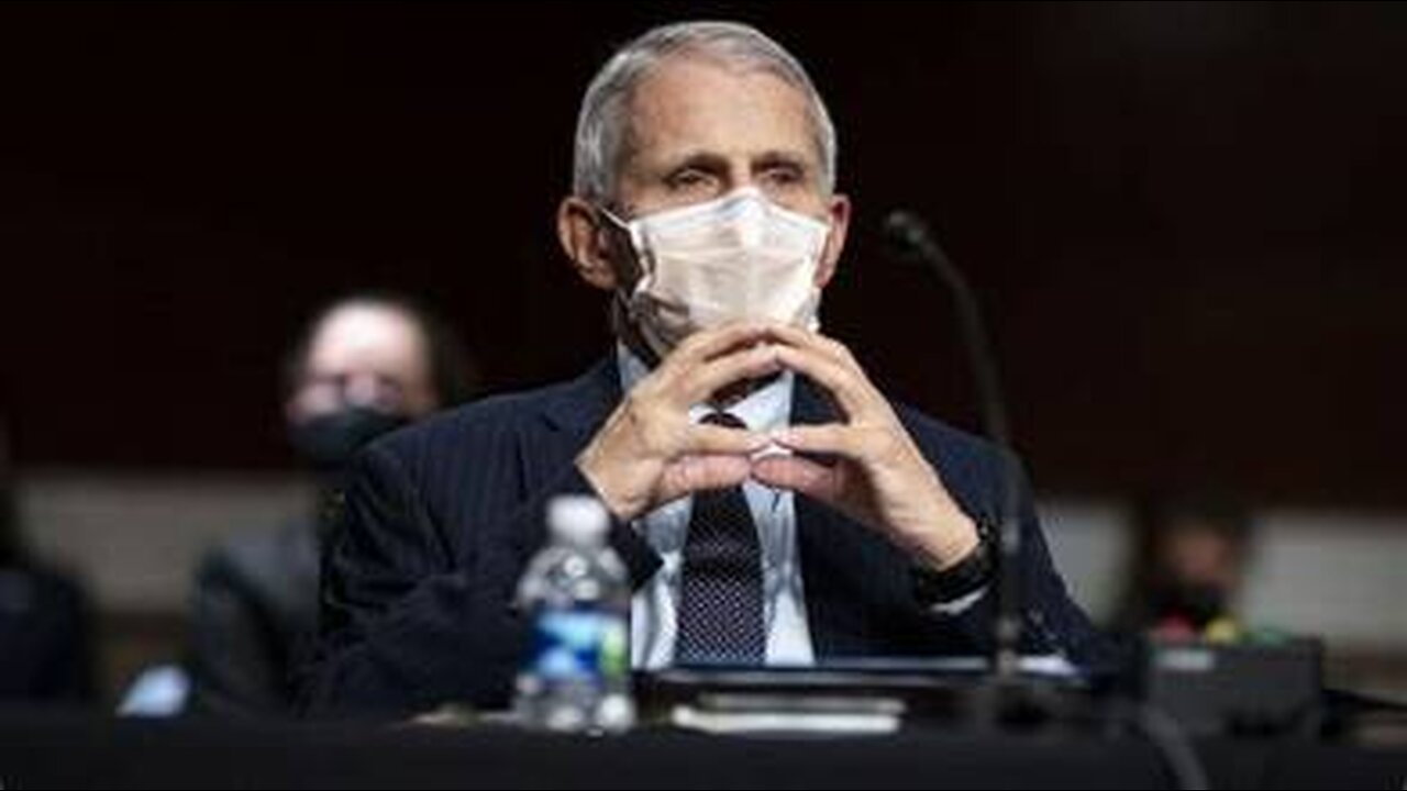 LIVE: Dr. Anthony Fauci testifies at Senate hearing on COVID-19 origins