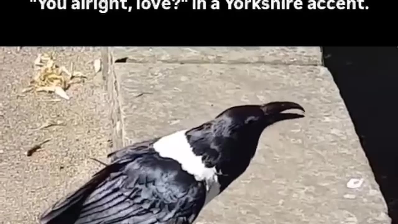 You alright, Love?!