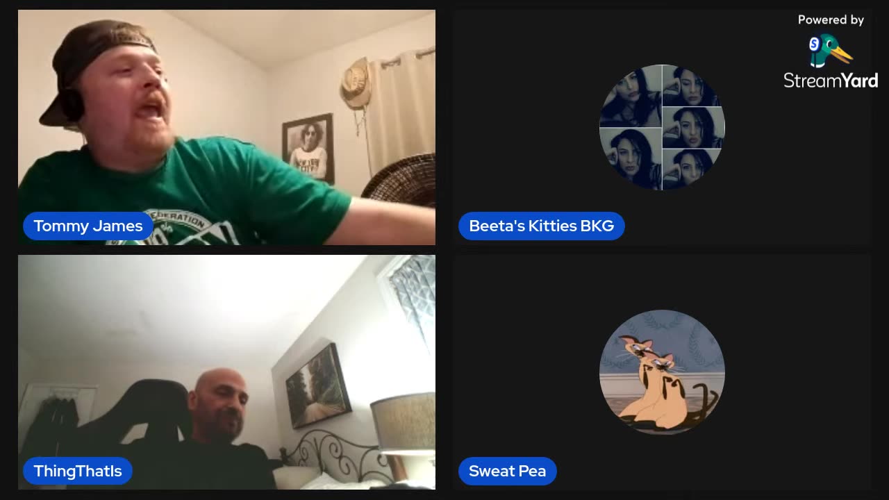 11/21/25 Beetas Kitties VOD: Oooops. Friday we are in love ❤️