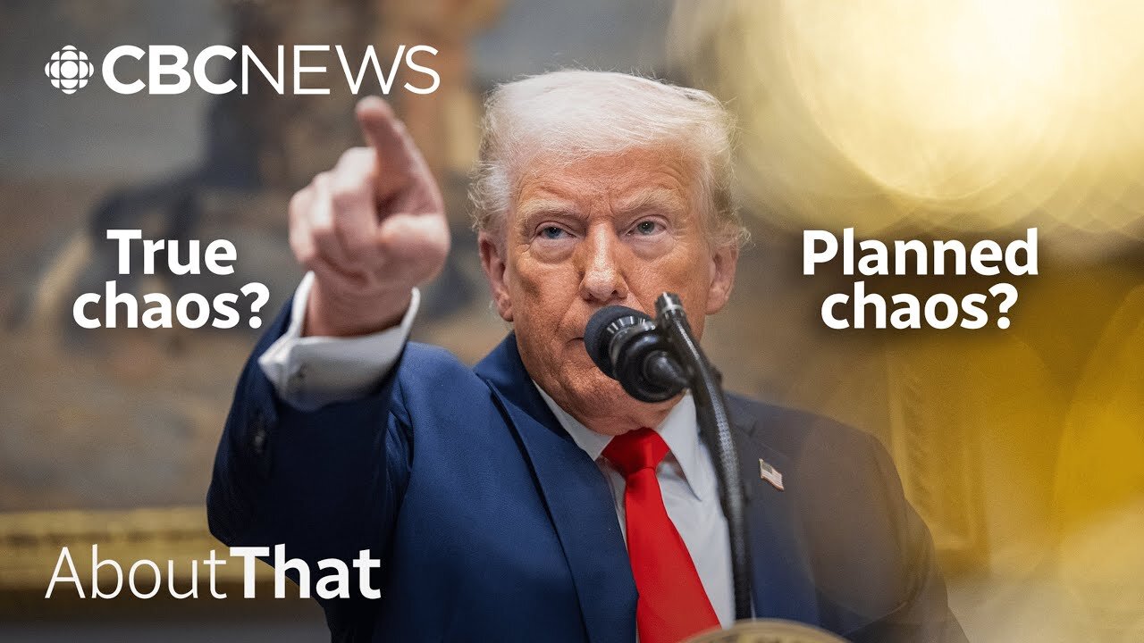 Tariff war: Does Trump actually know what hes doing? | About That