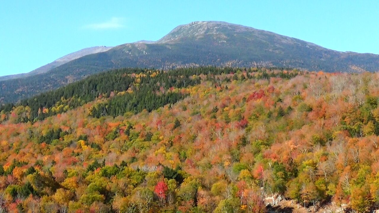 Fall Foliage