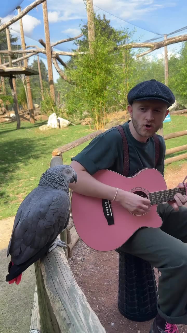 🎵𝄞 🦜 Its a Shit-Show Out There! 🎸 Heres Something POSITIVE to Get You Through the Day 🐘🦓