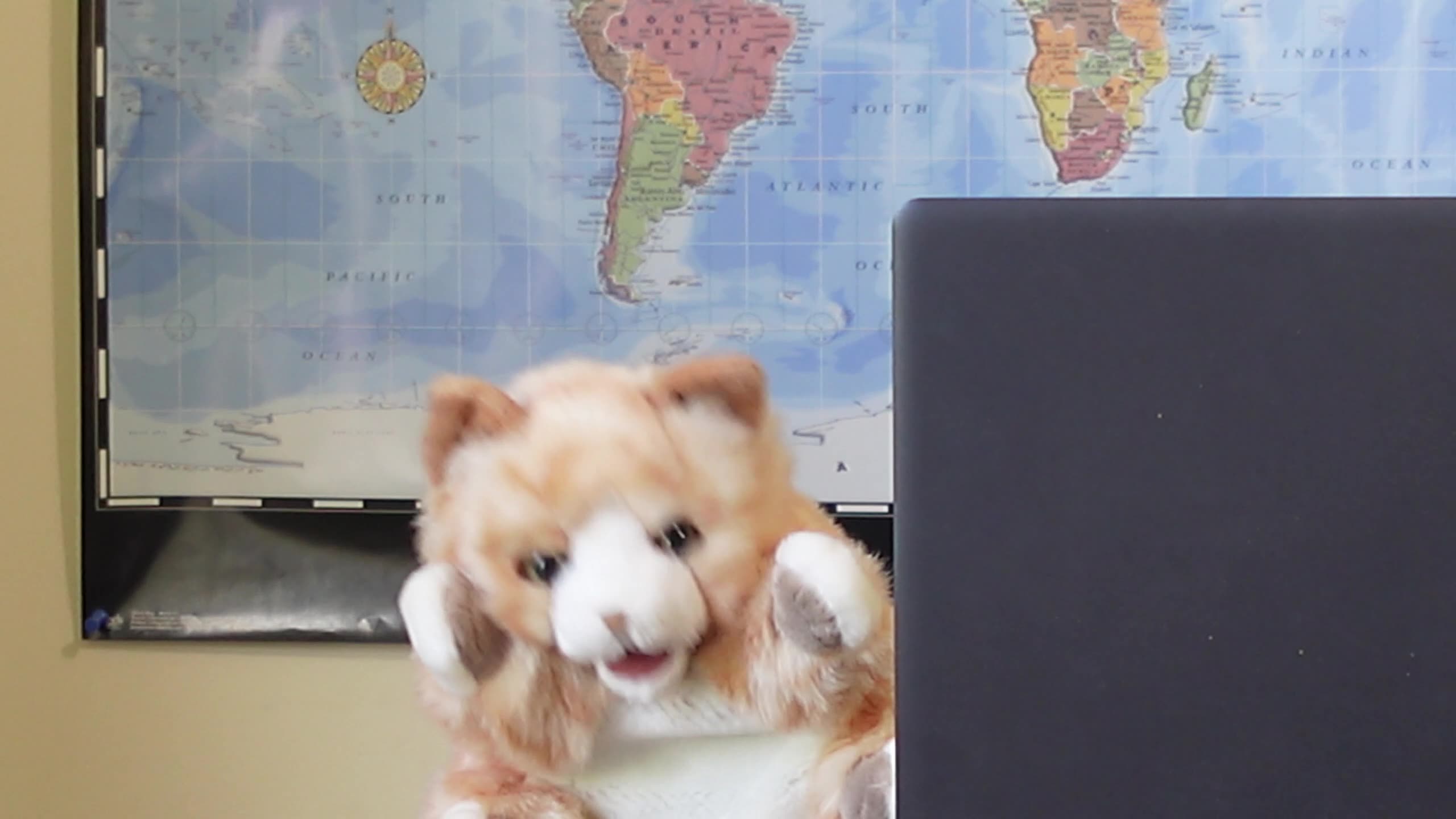 Auditioning for CGPA Puppet News