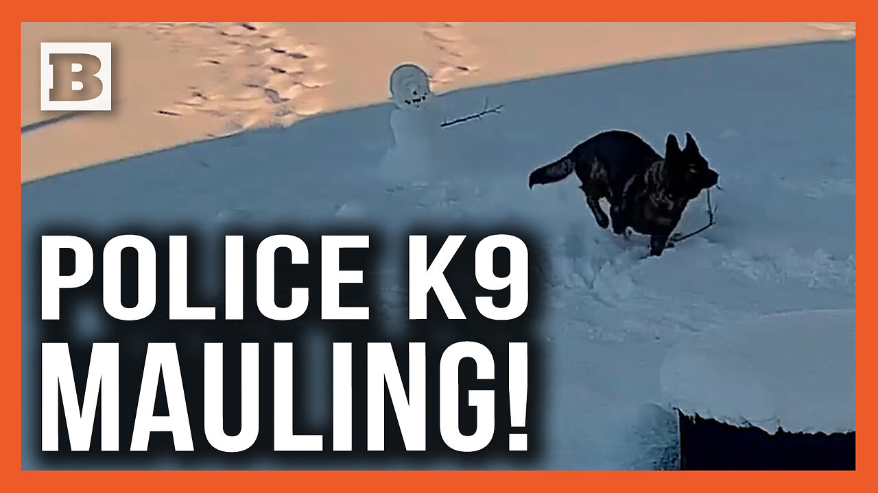 Brutal Police K9 Mauling! Snowmans Arm Ripped Away in Attack