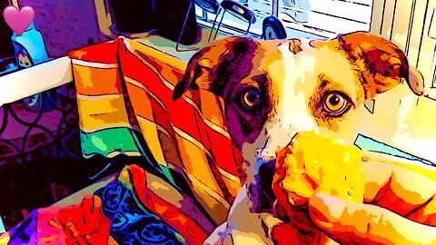 Missy-Kissy Frozen Pumpkin Cookie 💋