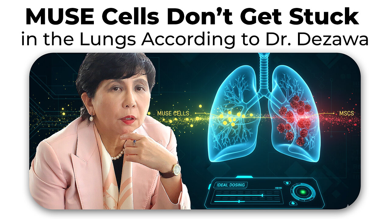 MUSE Cells Dont Get Stuck in the Lungs Like MSCs & Ideal Dosing According to Dr. Dezawa