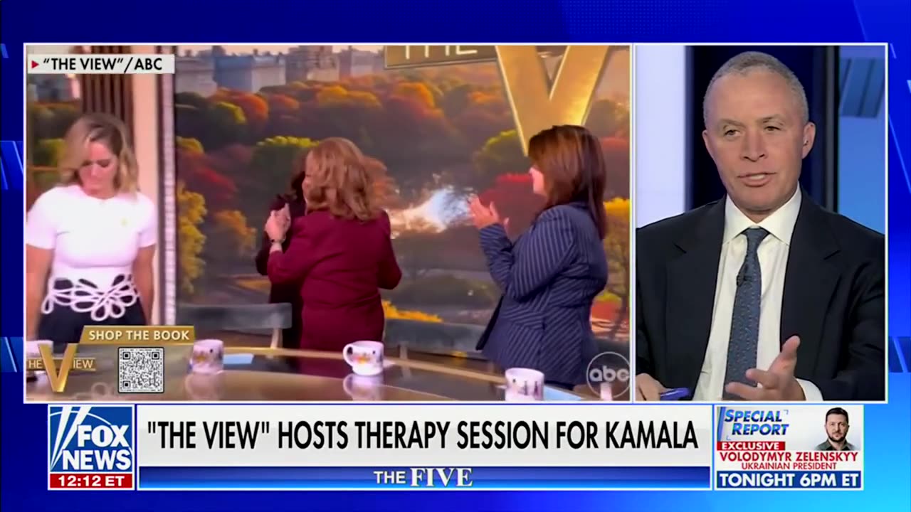 Shes Not The Hero: Fmr Dem Rep Advises Kamala What To Do Instead Of Blaming And Complaining