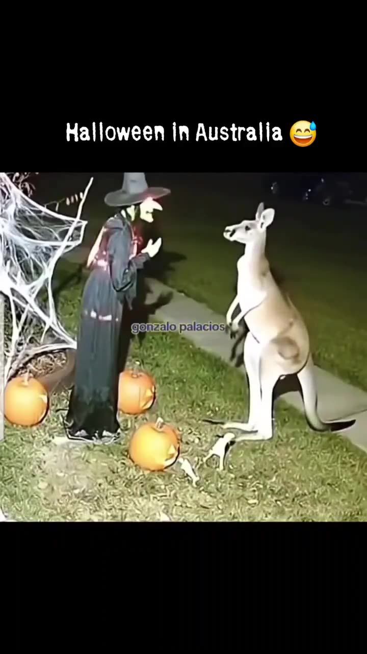 witch!