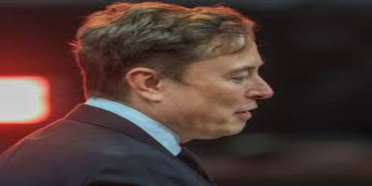 Musk Blasts NYC Ballot as Scam Over Cuomos Spot