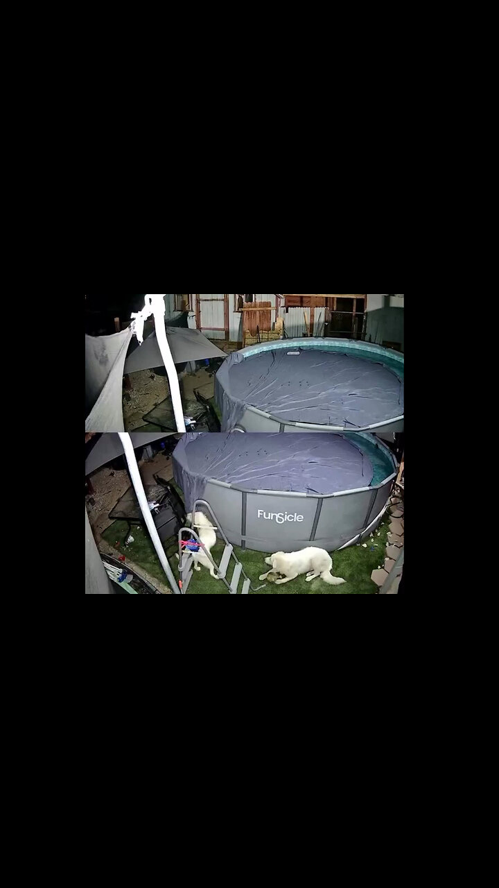 Late night pool party.....LOL