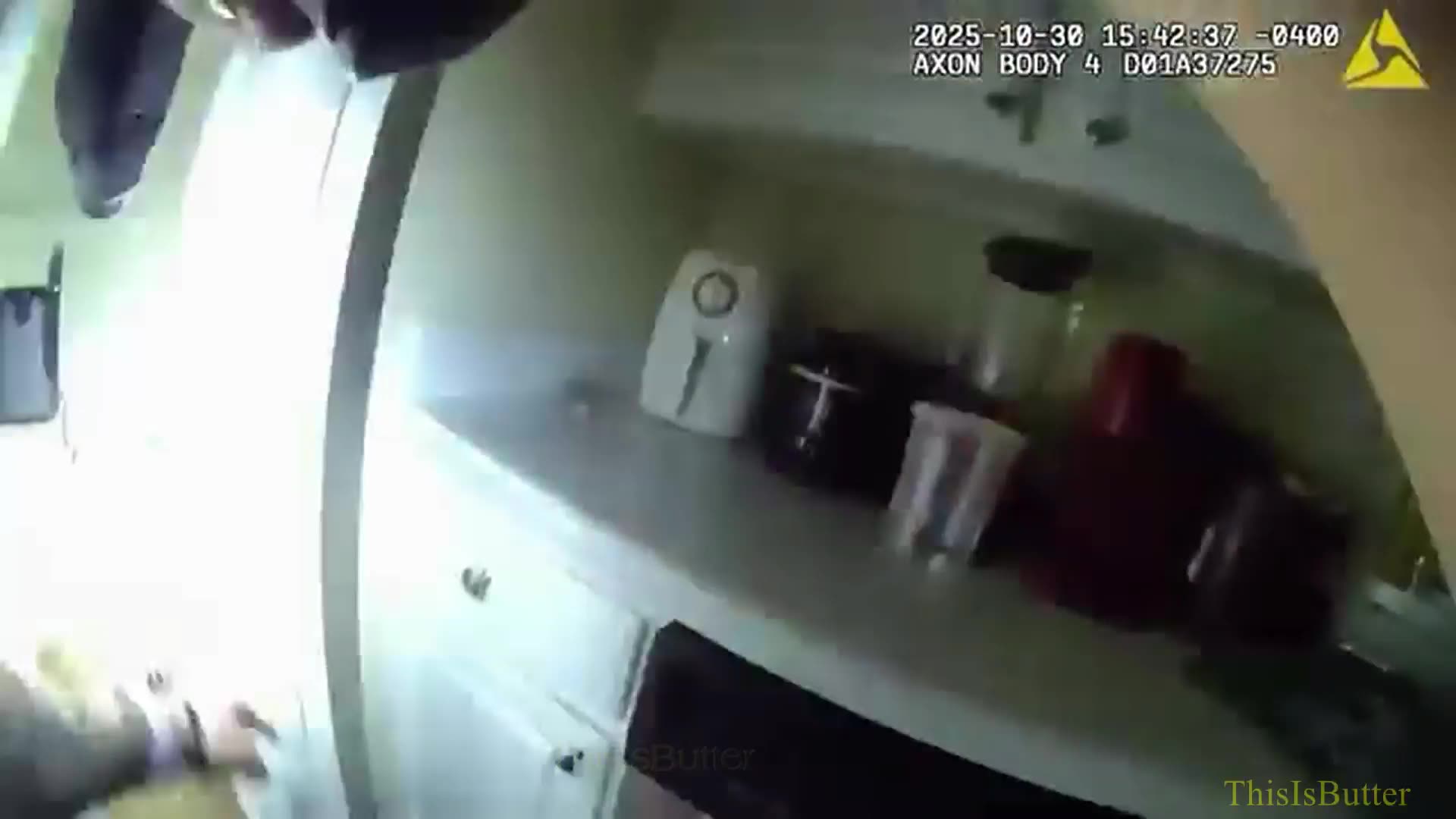 Hillsborough County deputies rescue puppy stolen during armed burglary