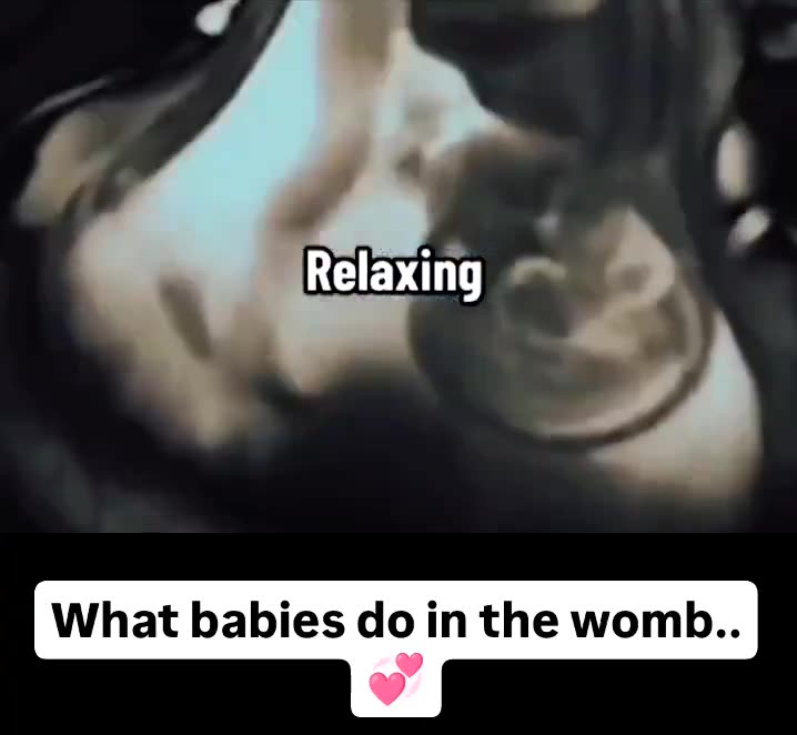 WHAT BABIES DO IN THE WOMB