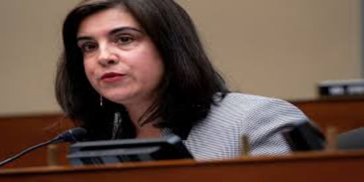 Rep. Malliotakis Trump Made Wrong Decision on Santos