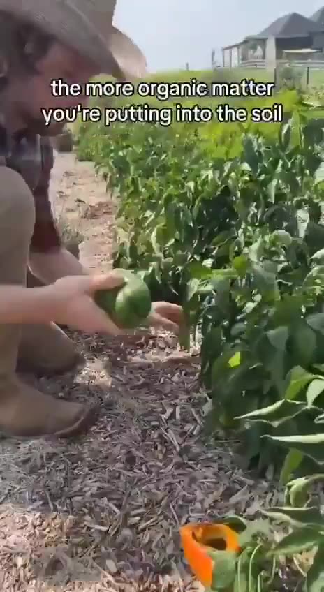 A few helpful tips for home gardening outside of Big Ag/Big Fertilizer/Big Chemical propaganda