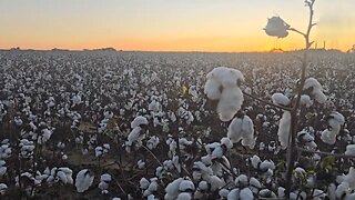 Wait a Cotton Pickin' Minute... Florida to Colorado Travels