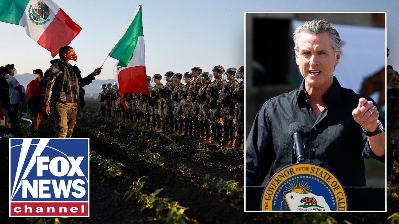 REVEALED: California pot farm owners ties to Newsom