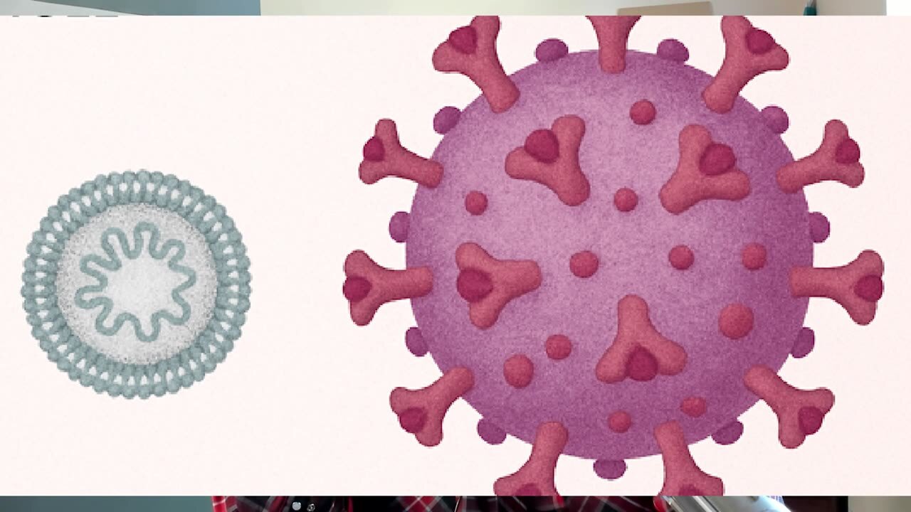 Covid vaccine dangers illustrated