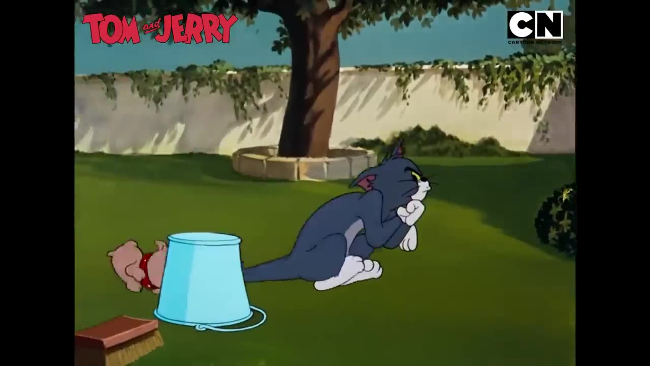 Tom & Jerry: Chaos, Comedy & Non-Stop Laughter! 😂🎬 | 😺🐭