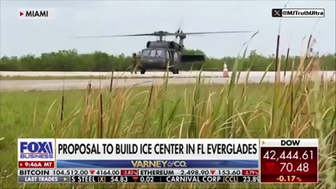 ALLIGATOR ALCATRAZ For Illegal Aliens 🙌