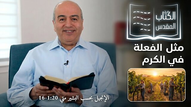 مثل الفعلة في الكرم - من الكتاب الكريم || قناة المجد