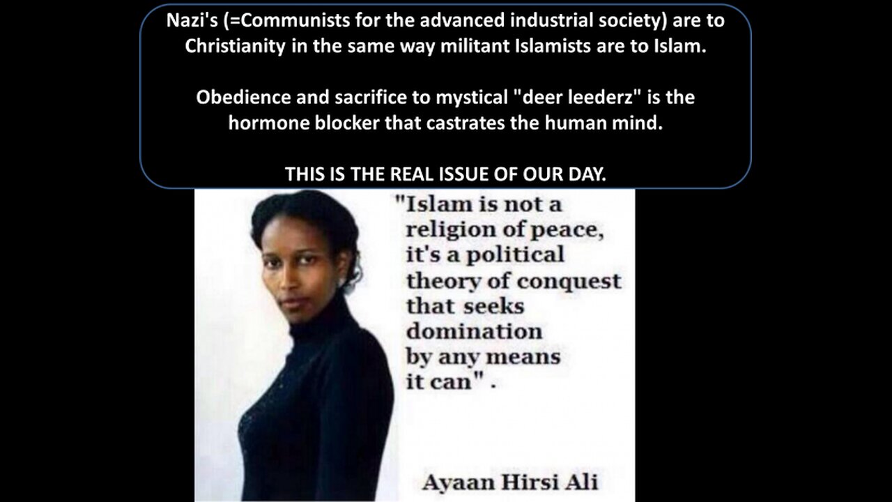 muslim islam mehdi hassans face drop journalist says brutal truth taqiyya muslim islam jihad sharia