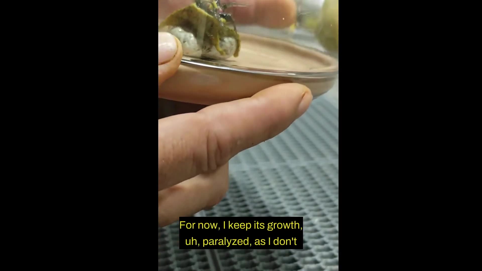 The Alien Situation Just Got WAY Crazier