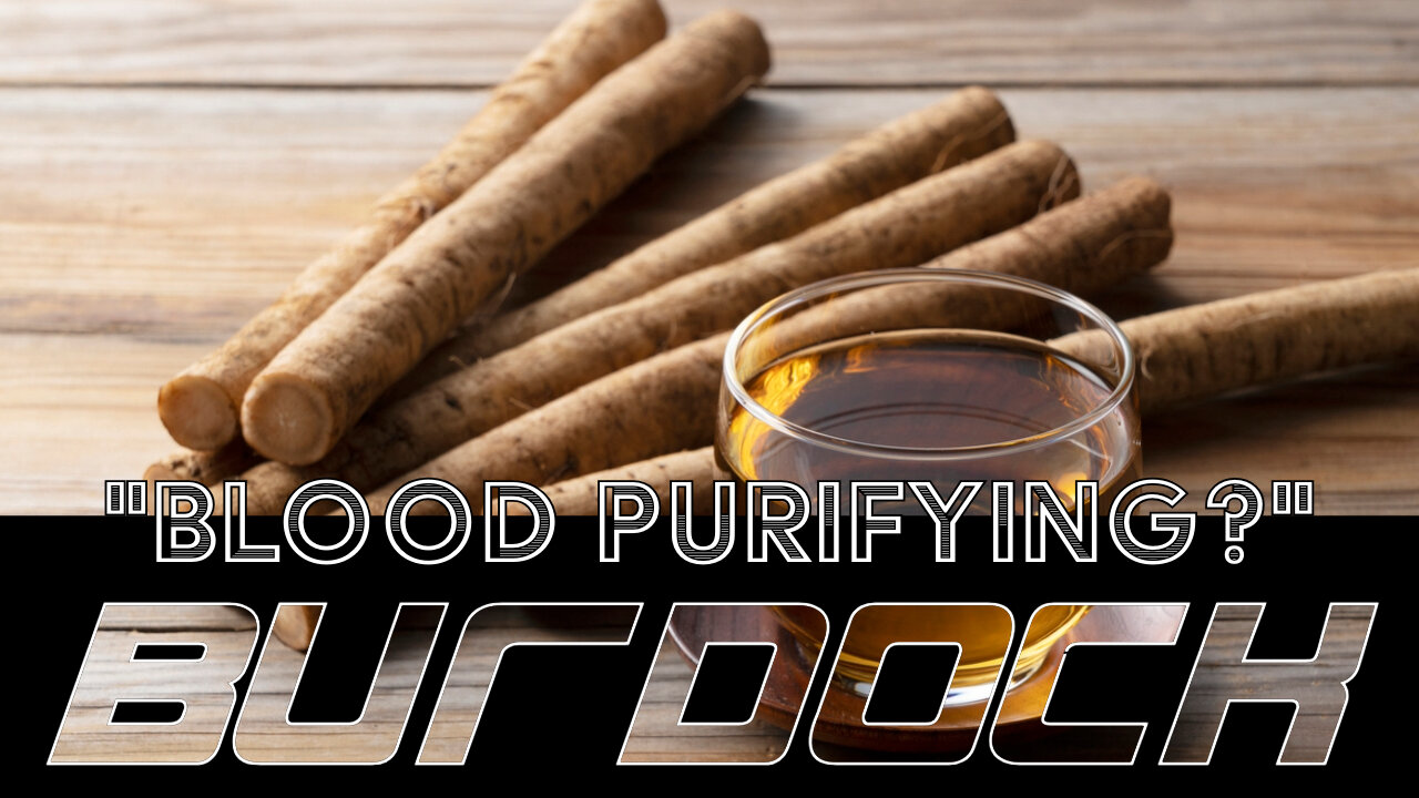 Blood Purifying and seven other Benefits of Burdock Root 🌿