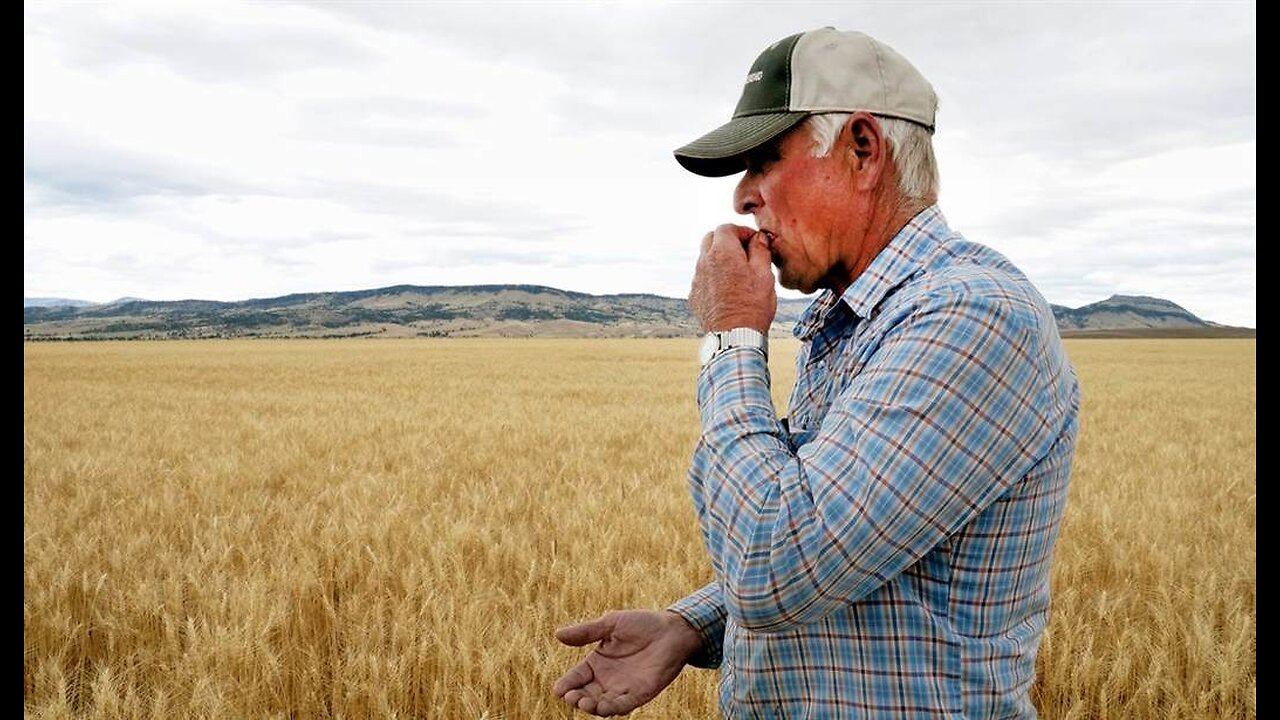 They Havent Stopped Chinese Students Attempted to Smuggle Agricultural Bioweapon Into US
